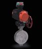 Ropo butterfly valve