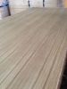 Sell teak plywood