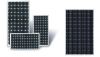 Sell poly-crystalline Solar panel