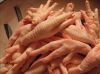 Export Chicken Paw | Chicken Feet Suppliers | Poultry Feet Exporters | Chicken Feets Traders | Processed Chicken Paw Buyers | Frozen Poultry Paw Wholesalers | Low Price Freeze Chicken Paw | Best Buy Chicken Paw | Buy Chicken Paw | Import Chicken Paw | Chi