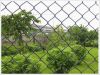 Sell chain link fence