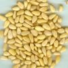 Sell Pine nut Kernels