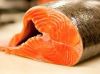 Salmon Fish