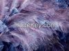 Ostrich Feathers