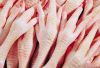 Healthy Chicken Feet