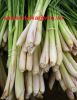 Sell lemongrass