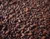 Top Quality West African Roasted Cocoa Beans