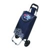 Folding Shopping Trolley Bag