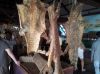 wet/dry cattle, donkey, sheep and corcodile hides