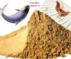 Quality Quarantee Fish Meal 60% & 65%