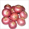 Sell Red Onion