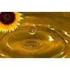 Export Refined Sunflower Oil | Pure Sunflower Oil Suppliers | Refined Sunflower Oil Exporters | Refined Sunflower Oil Traders | Refined Sunflower Oil Buyers | Pure Sunflower Oil Wholesalers | Low Price Sunflower Oil | Best Buy Sunflower Oil | Buy Sunflowe