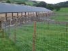 Sell field fencing