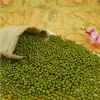 Green Mung Bean 2017 crop supply different size mung beans