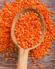 High quality red lentils , red lentils price , red lentils for sale with reasonable price and fast delivery !!