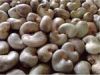 Raw Cashew Nut