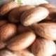 Garnicia Kola Nut