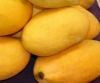 OFFER MANGO