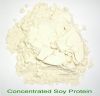 supply concentrated soy protein