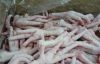  Export Chicken Paw | Chicken Feet Suppliers | Poultry Feet Exporters | Chicken Feets Traders | Processed Chicken Paw Buyers | Frozen Poultry Paw Wholesalers | Low Price Freeze Chicken Paw | Best Buy Chicken Paw | Buy Chicken Paw | Import Chicken Paw | Ch