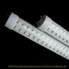 Sell LED Daylight Lamp