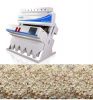 Dehydrated Onion Sorting Machine