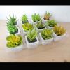 Sell artificial plastic succulent