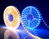 Sell all kinds of LED strip light, LED tape light