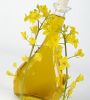 Sell Rapeseed oil