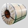 Sell galvanized steel coil