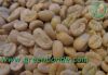 Export Coffee Beans | Arabica Coffee Beans Suppliers | Robusta Coffee Beans Exporters | Coffee Bean Traders | Wholesale Coffee Beans | Buy Coffee Beans | Bulk Coffee Bean | Green Coffee Bean Buyer | Low Price Roasted Coffee Bean | Import Coffee Bean | Cof