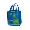 Sell Laminated non woven bags