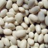 Sell White Kidney Bean