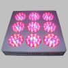 Sell led grow light