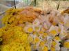 Sell FLOWER, FRUIT, VEGETBALE (Email:anthinhfarmvn(at)gmail(dot)com