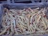 Export Chicken Paw | Chicken Feet Suppliers | Poultry Feet Exporters | Chicken Feets Traders | Processed Chicken Paw Buyers | Frozen Poultry Paw Wholesalers | Low Price Freeze Chicken Paw | Best Buy Chicken Paw | Buy Chicken Paw | Import Chicken Paw | Chi