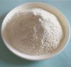 Feed grade allicin 25% powder on sale