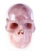 Huge Natural Pink Rock Quartz Crystal Skull/Head Carving healing