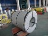 Sell Stainless Steel Coil