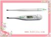 Sell digital thermometer