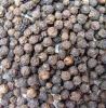 Sell Black Pepper Seeds