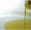 Export Refined Sunflower Oil | Pure Sunflower Oil Suppliers | Crude Sunflower Oil Exporters | Refined Sunflower Oil Traders | Raw Sunflower Oil Buyers | Pure Sunflower Oil Wholesalers | Low Price Sunflower Oil | Best Buy Sunflower Oil | Buy Sunflower Oil 