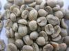 Export Coffee Beans | Arabica Coffee Beans Suppliers | Robusta Coffee Beans Exporters | Coffee Bean Traders | Wholesale Coffee Beans | Buy Coffee Beans | Bulk Coffee Bean | Green Coffee Bean Buyer | Low Price Roasted Coffee Bean | Import Coffee Bean | Cof