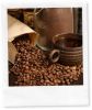 Arabica Coffee Beans