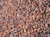 Sell Cocoa Beans