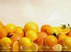 Sell Fresh Citrus Fruit