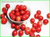 Sell Hawthorn berry extract