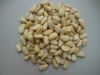 Sell best Quality Pine Nuts