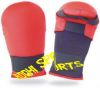 Karate Mitt