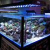 Sell led aquarium light